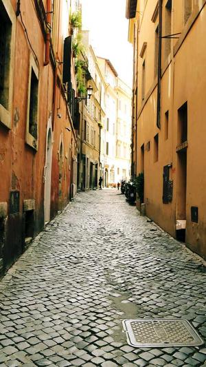 seo站外优化截图1