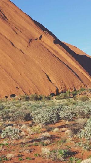 超级蜘蛛池靠谱吗截图1
