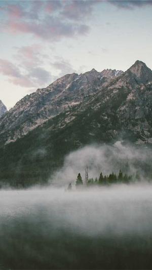 seo是什么职业截图2