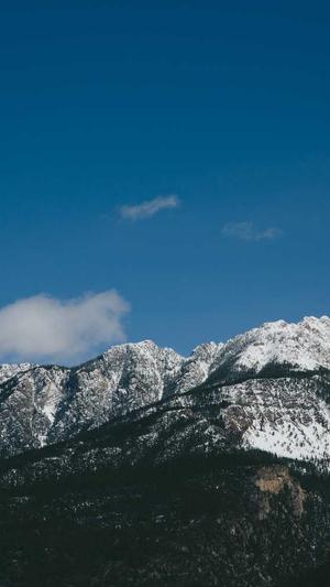 蜘蛛池谷歌排名截图3