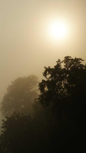 千站云蜘蛛池搭建教程截图5