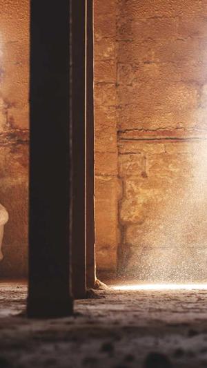 头条蜘蛛池租用选哪家截图2