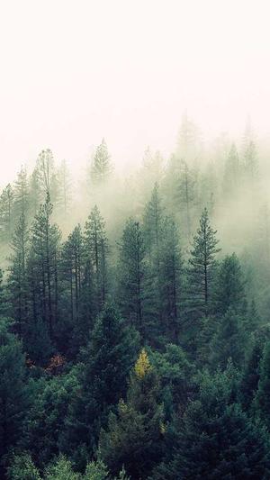 建蜘蛛池多少钱截图5