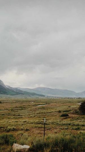 seo站长工具怎么关掉截图1