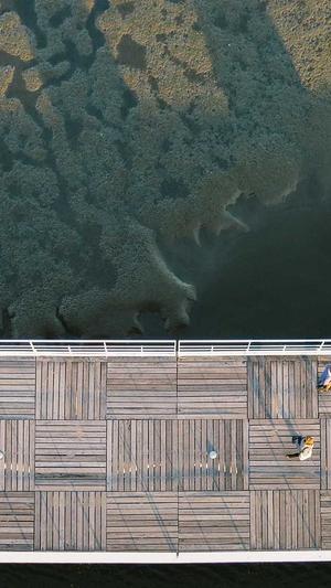 秦皇岛网站建设截图1