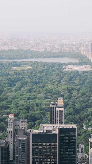 建设公司的网站建设截图4