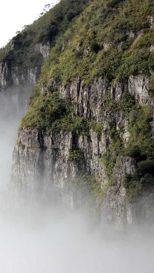 seo必用工具截图2