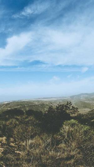 网站建设哪家便宜截图3