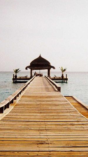 阿里蜘蛛池v5破解版截图3