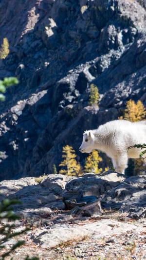 蜘蛛池免费seo教程截图3