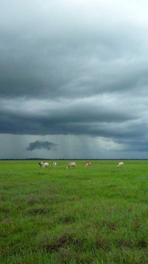 风度seo泛目录截图2