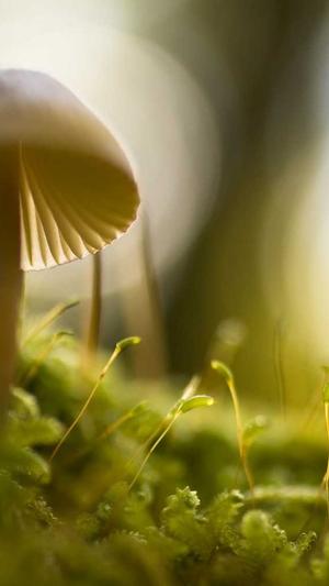 中国建设监理协会网站截图2