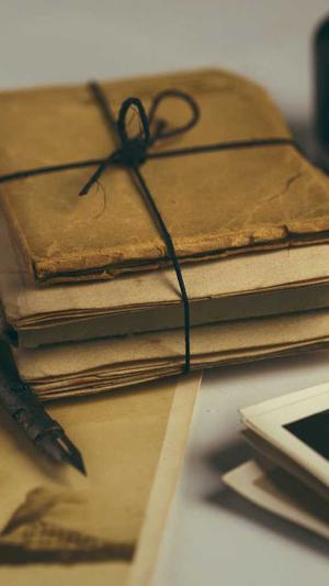 蜘蛛池是发布大量外链吗截图2