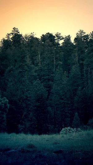 阿里蜘蛛池v5破解版截图1