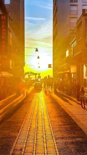 小学网站建设截图2