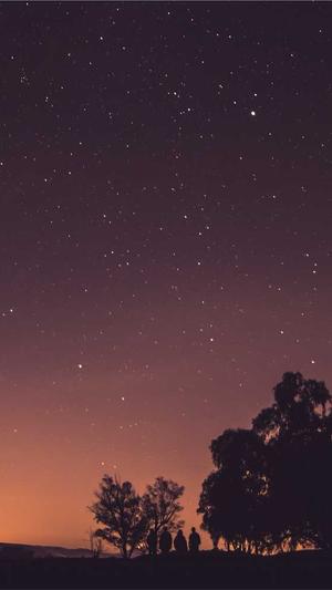 乌鲁木齐seo截图2