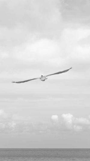 在线seo超级外链工具截图3