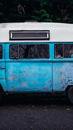 超级蜘蛛池用着怎么样截图2