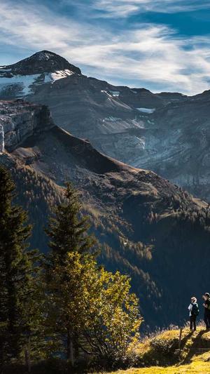 seo排名工具查询截图1