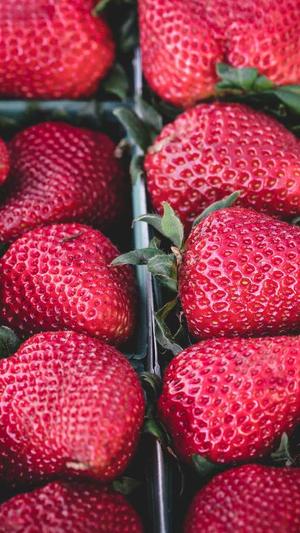 上海门户网站建设截图2