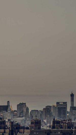 站长工具seo查询截图5