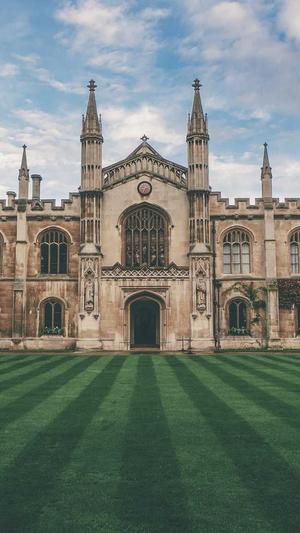 小旋风蜘蛛池模板图片截图1