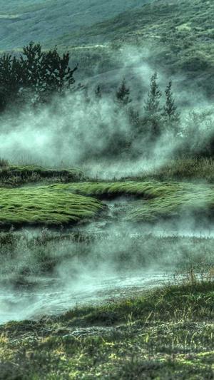 蜘蛛池出租服务哪家强截图1