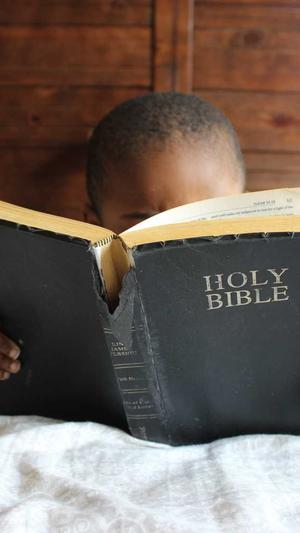 seo诊断工具有哪些截图2