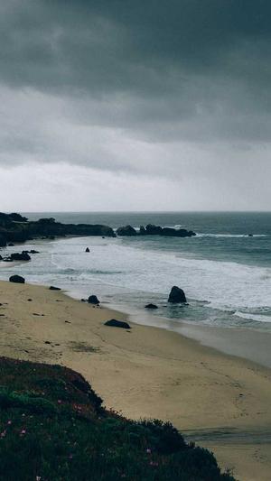 蜘蛛池如何使用魔法棒截图2