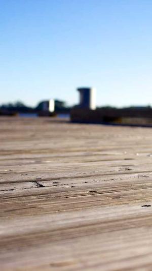 泛目录引流截图4