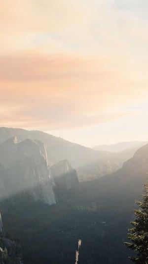 风度seo泛目录截图1