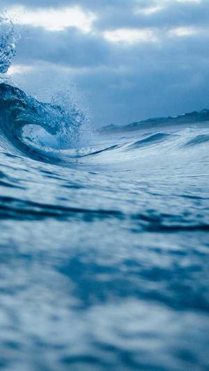 seo站长工具视频营销截图5