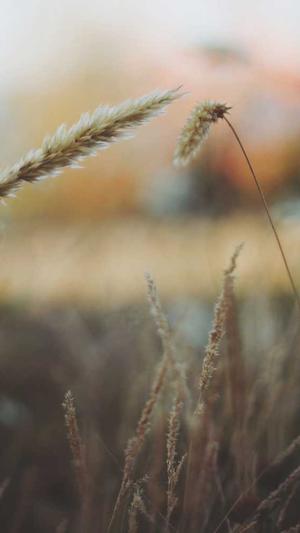 寿光网站建设截图1